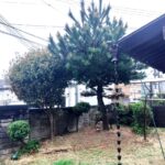 植木の剪定、伐採！姫路便利屋コンシェル★